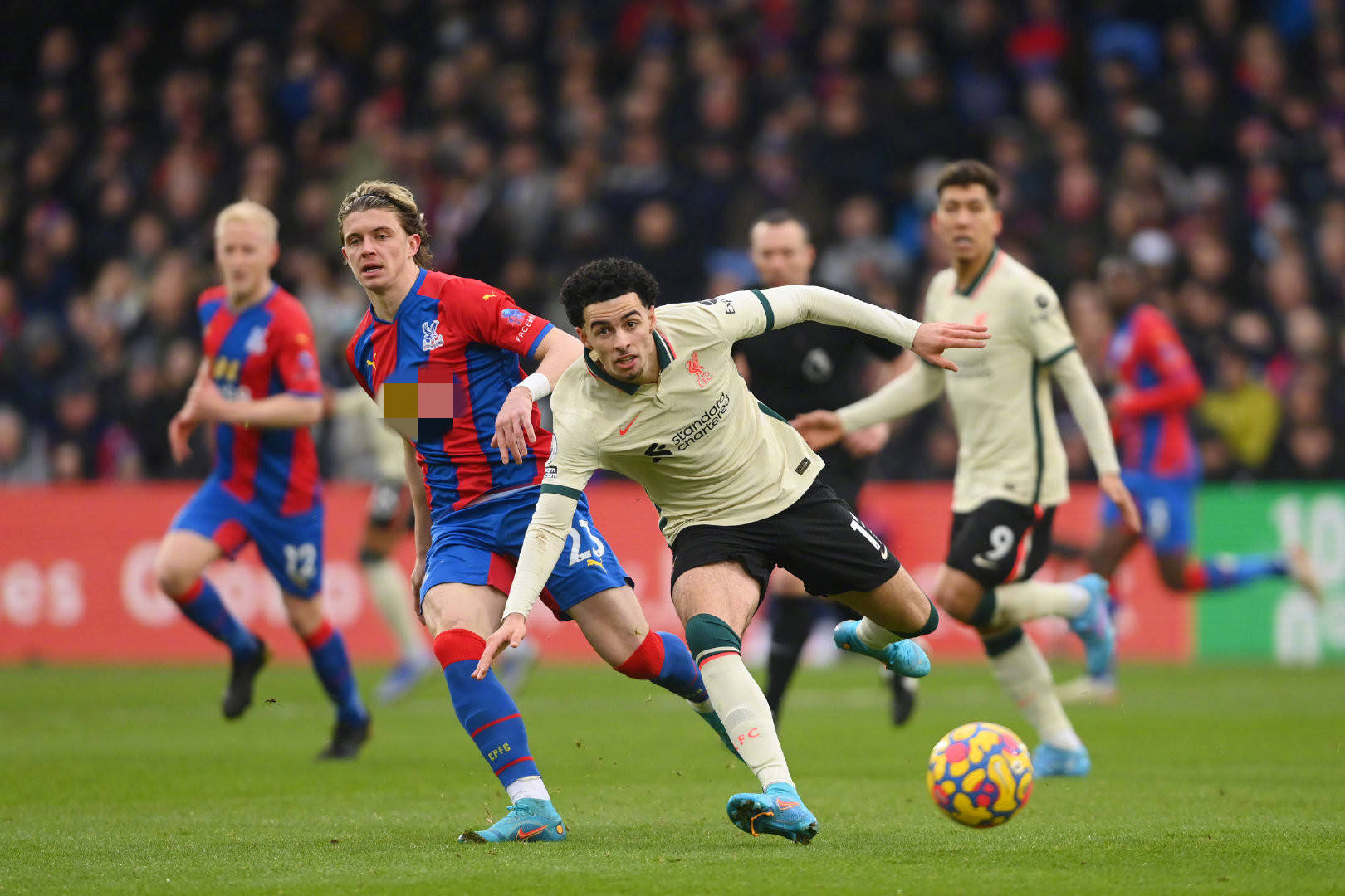 断完善自己 断完善自己